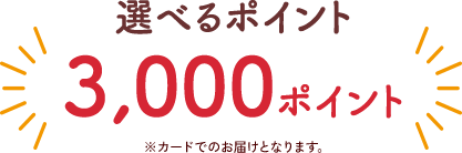 選べるポイント3,000ポイント※カードでのお届けとなります。