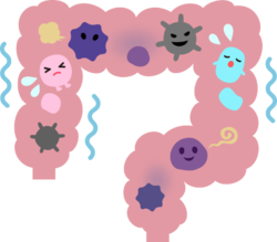 pixta_26522187_Skakou.png