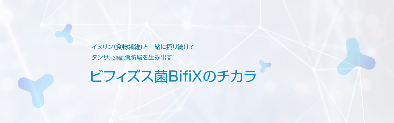 ビフィズス菌BifiXのチカラ イヌリン(食物繊維)と一緒に摂り続けてタンサ®(短鎖)脂肪酸を生み出す！