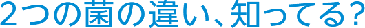 2つの菌の違い、知ってる？