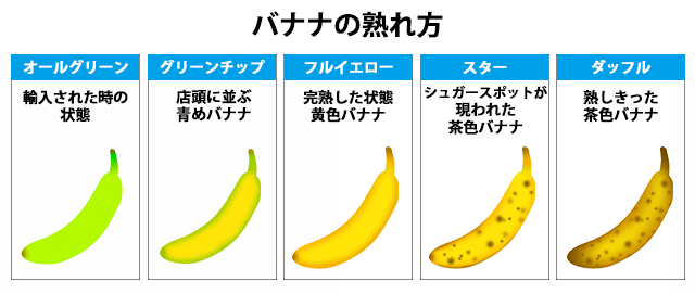 バナナの熟れ方2.png