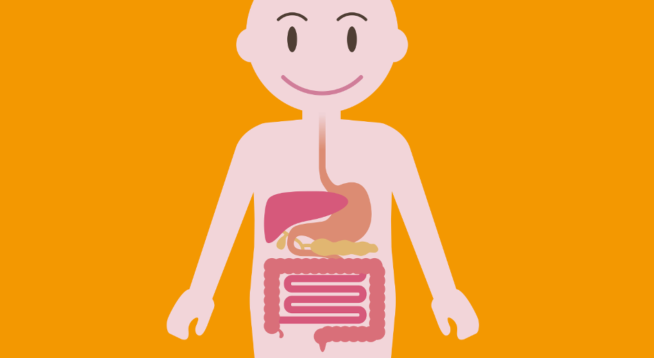 便中に未消化の食物が含まれる原因は何ですか?