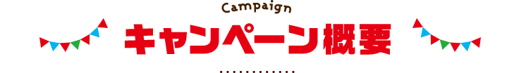 Campaign キャンペーン概要