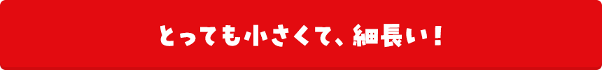 とっても小さくて、細長い！