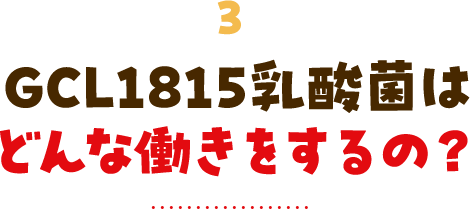 3 GCL1815乳酸菌は どんな働きをするの？