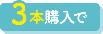 3本購入で
