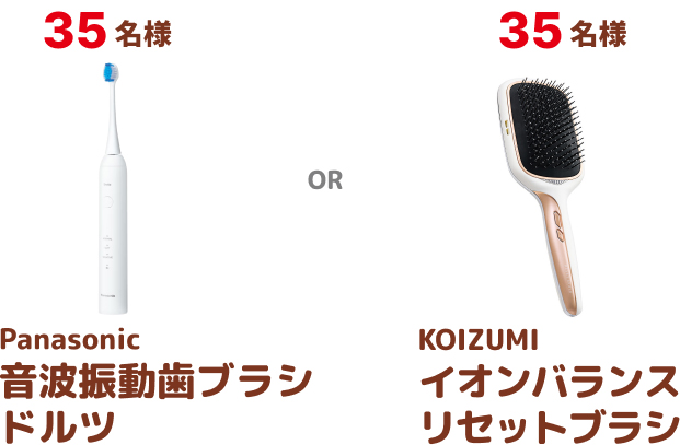音波振動歯ブラシドルツ イオンバランスタイプリセットブラシ