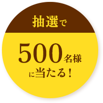 抽選で500名様に当たる！