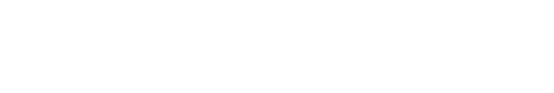 遊び方
