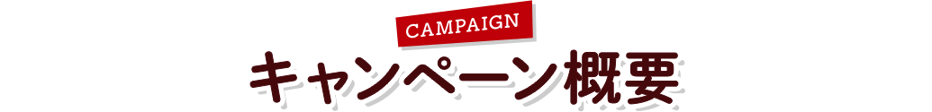 Campaign キャンペーン概要