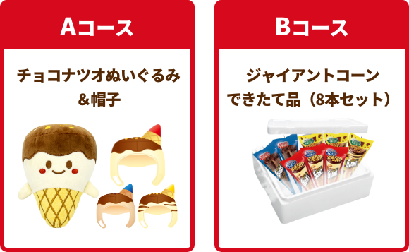 応募画面イメージ