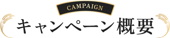キャンペーン概要