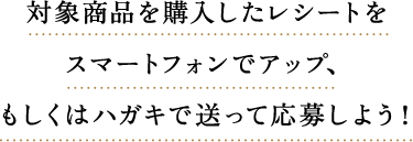 対象商品を購入したレシートをスマートフォンでアップ、もしくはハガキで送って応募しよう！