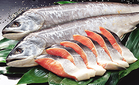 画像:関東甲信越地方（新潟県）ご当地食材 鮭