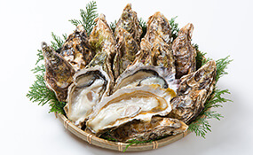 画像:東北地方（宮城県）ご当地食材 牡蠣