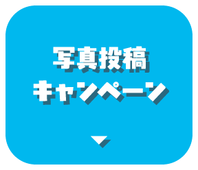 写真投稿キャンペーン