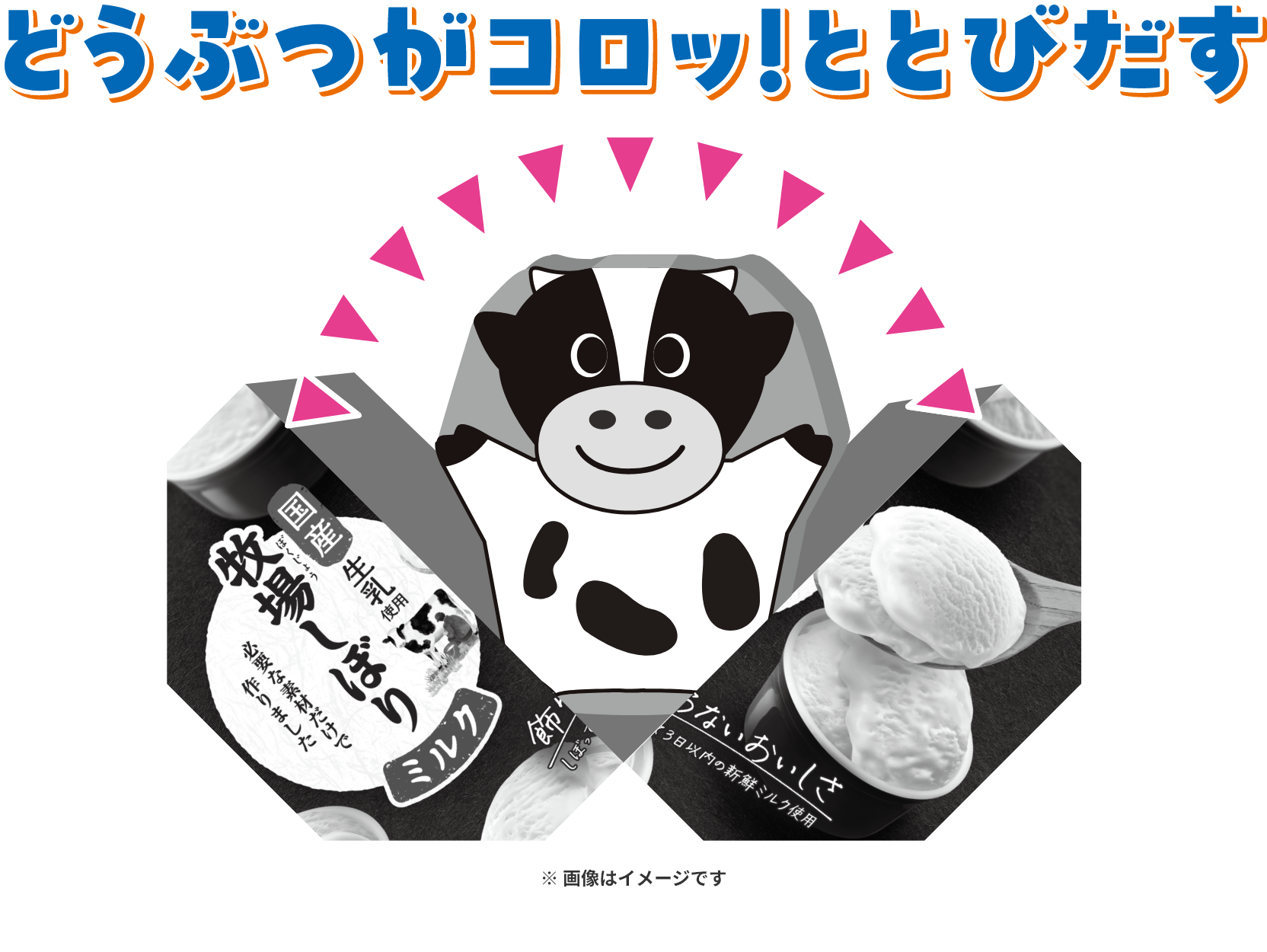 どうぶつがコロッ！ととびだす！※画像はイメージです