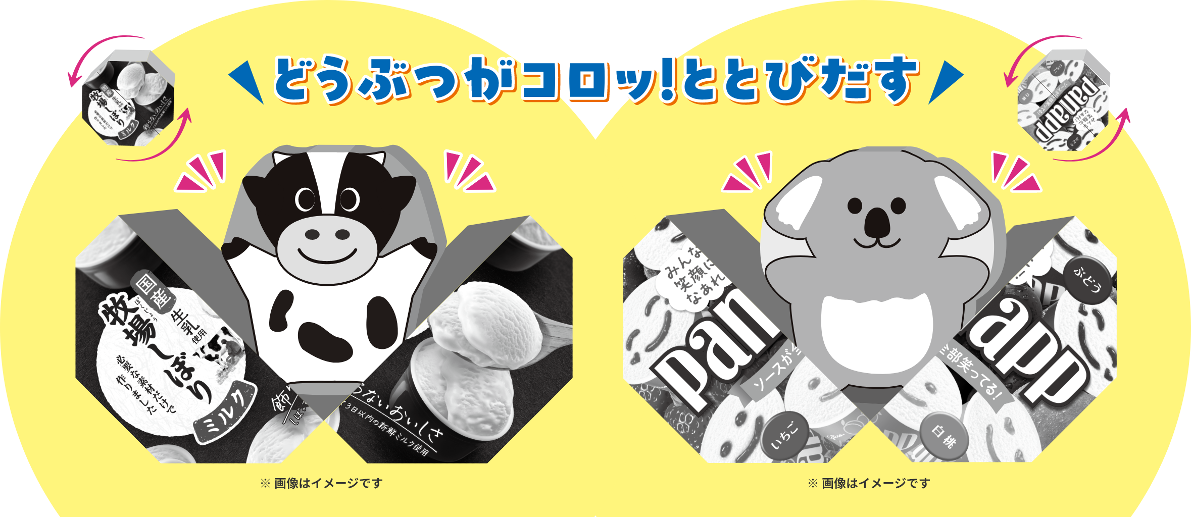 どうぶつがコロッ！ととびだす コロパカのイメージ写真 ※画像はイメージです