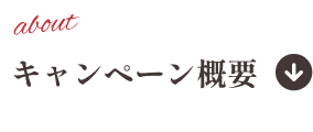キャンペーン概要