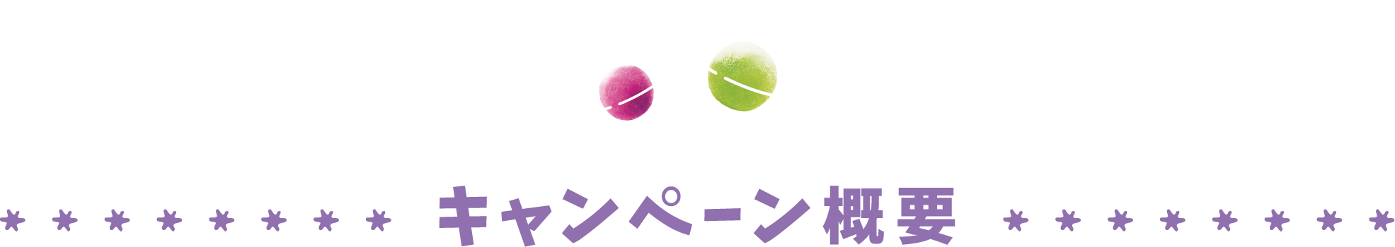 キャンペーン概要