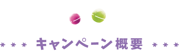 キャンペーン概要