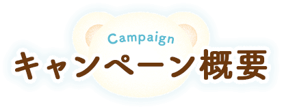 Campaign キャンペーン概要