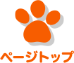 ページトップ
