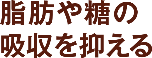 脂肪や糖の吸収を抑える