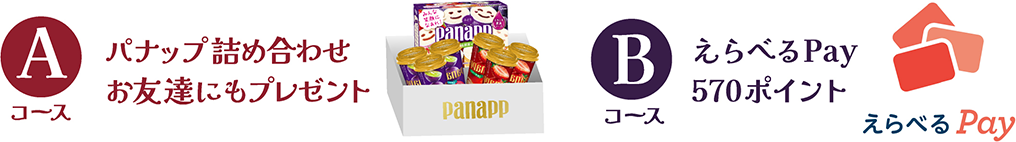 Aコース パナップ詰め合わせお友達にもプレゼント Bコース選べるPay570ポイント