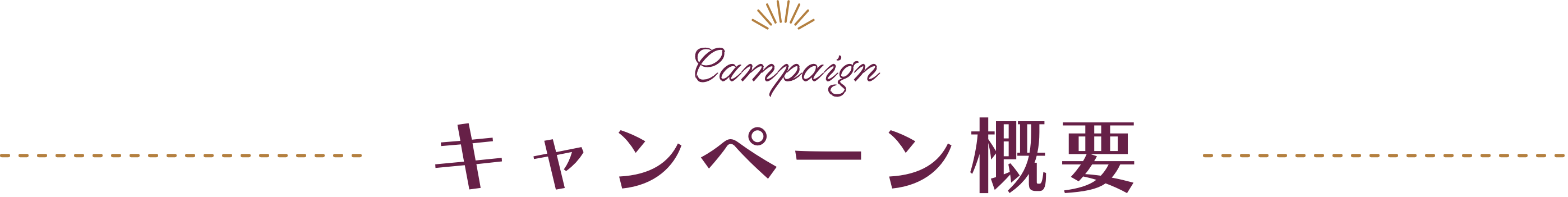 キャンペーン概要