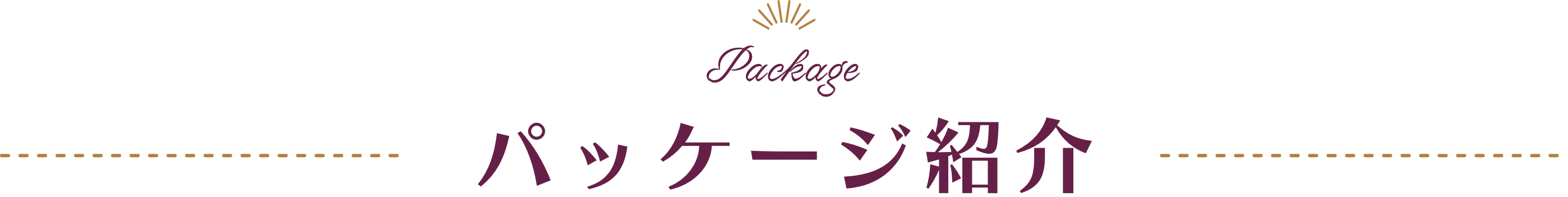 パッケージ紹介