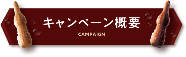 キャンペーン概要 Campaign