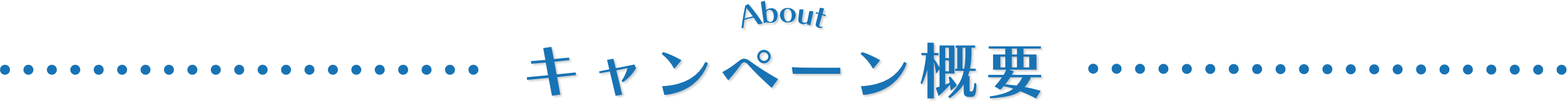 キャンペーン概要