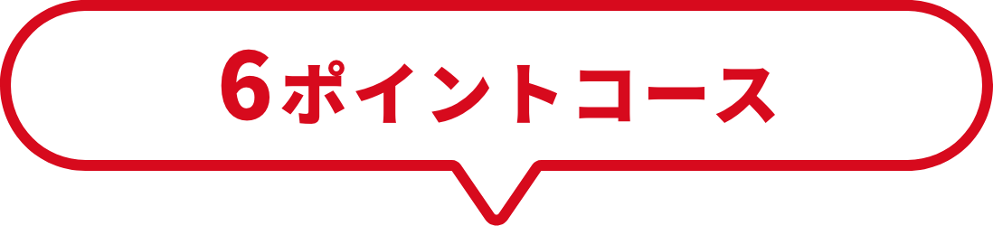 6ポイントコース