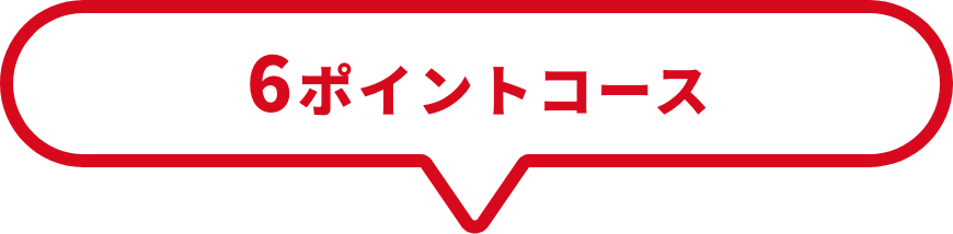 6ポイントコース