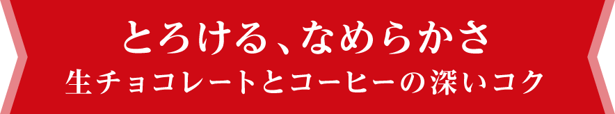 とろける、なめらかさ 生チョコレートとコーヒーの深いコク