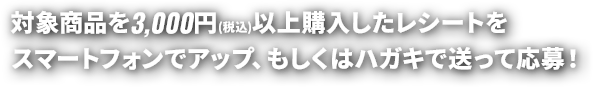 対象商品を3,000円(税込)以上購入したレシートをスマートフォンでアップ、もしくはハガキで送って応募！
