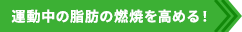運動中の脂肪の燃焼を高める！