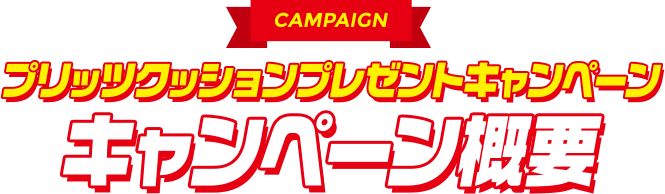 CAMPAIGN　プリッツクッションプレゼントキャンペーン　キャンペーン概要