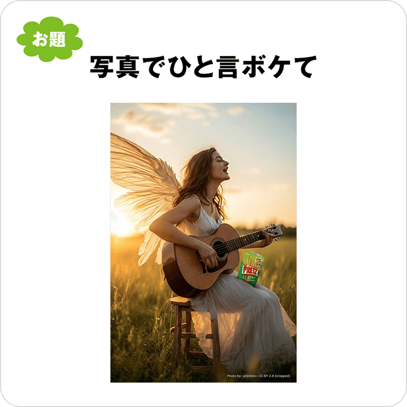 写真でひと言ボケて