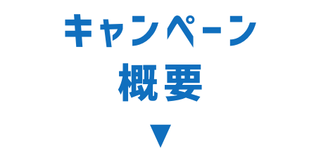 キャンペーン概要