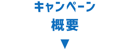 キャンペーン概要