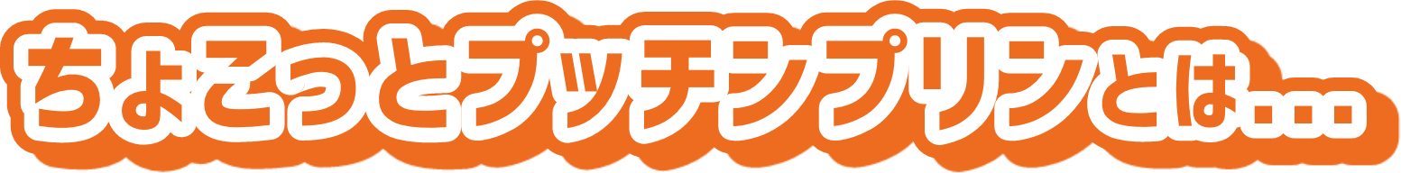 ちょこっとプッチンプリンとは...