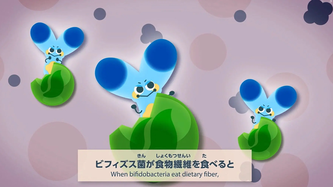 ビフィズス菌が食物繊維を食べると