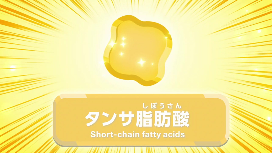 タンサ脂肪酸