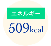 エネルギー509kcal