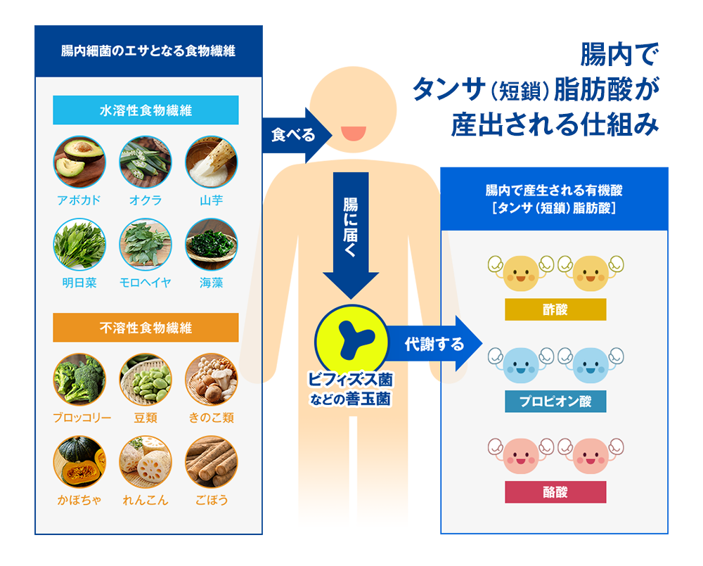 次世代のスーパー物質 タンサ 短鎖 脂肪酸プロジェクト 江崎グリコ